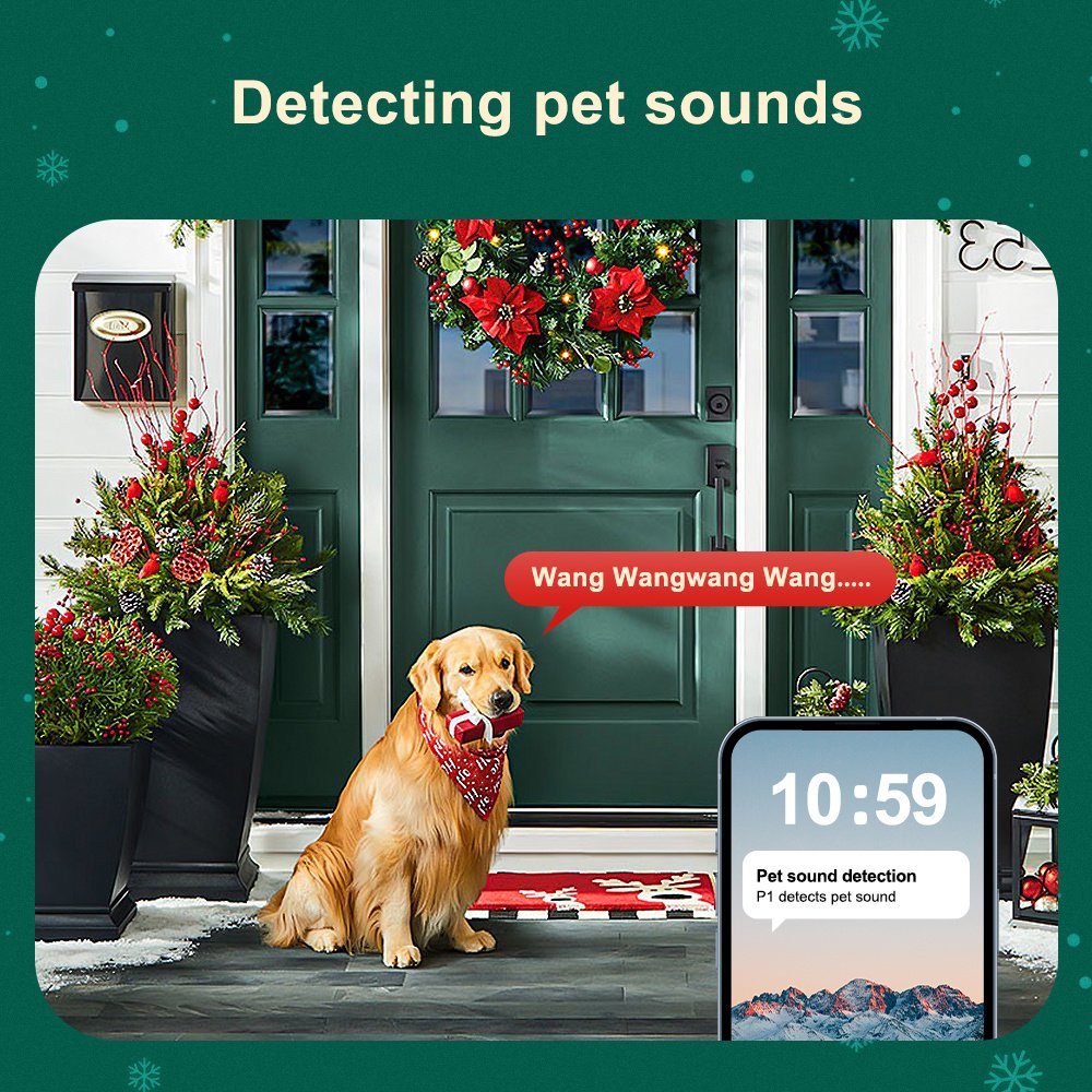 1080P HD WJG E27 Light Bulb Camera - Dual Band WiFi (2.4G+5G) Auto-Tracking, Color Night Vision, AI Motion Alerts for Home Security & Pet Monitoring with Cloud/Card Storage Support - Image 14