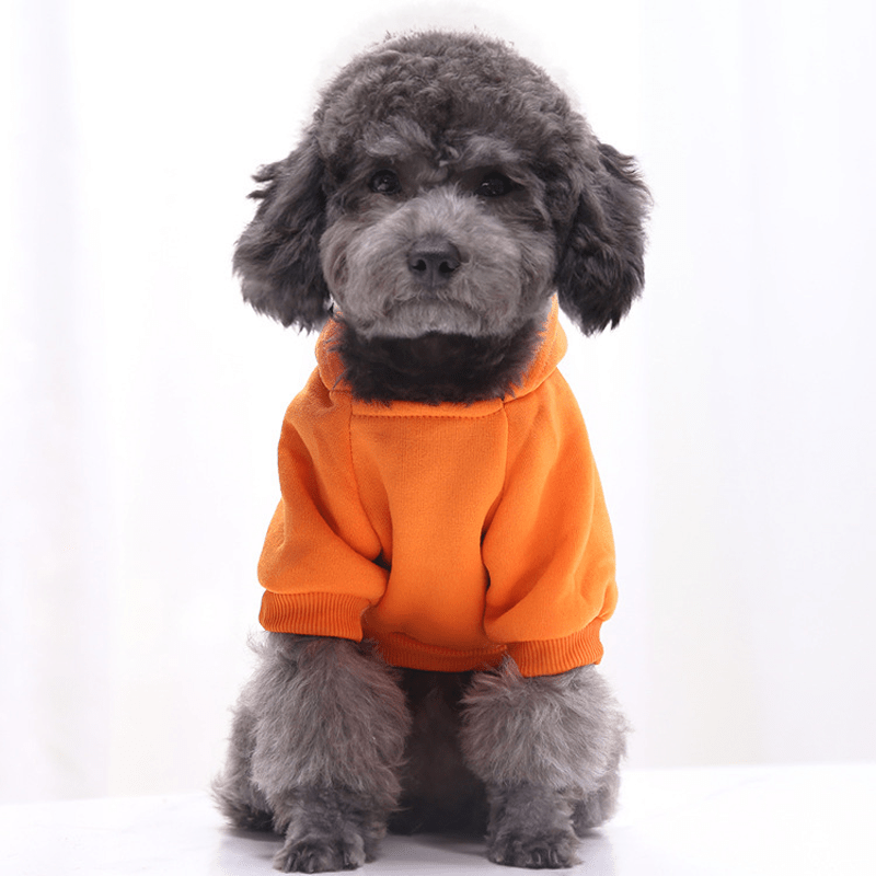 Winter Essentials: Cozy Knit Pullover Sweater for Small Dogs, Stylish & Easy-Care - Image 21