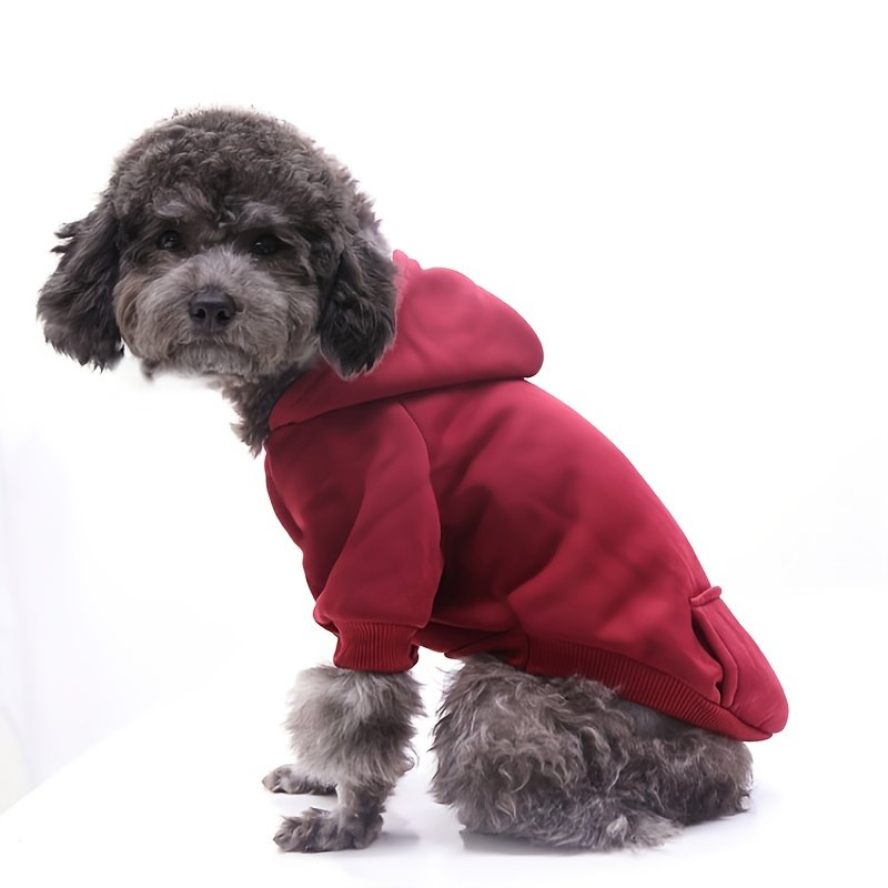 Winter Essentials: Cozy Knit Pullover Sweater for Small Dogs, Stylish & Easy-Care - Image 4