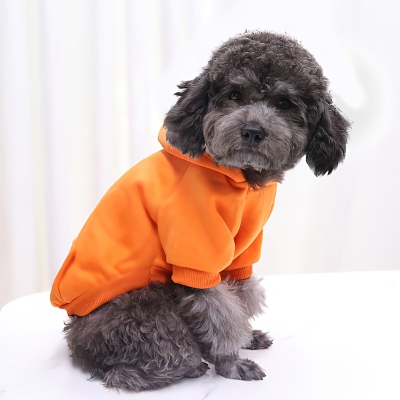 Winter Essentials: Cozy Knit Pullover Sweater for Small Dogs, Stylish & Easy-Care - Image 8