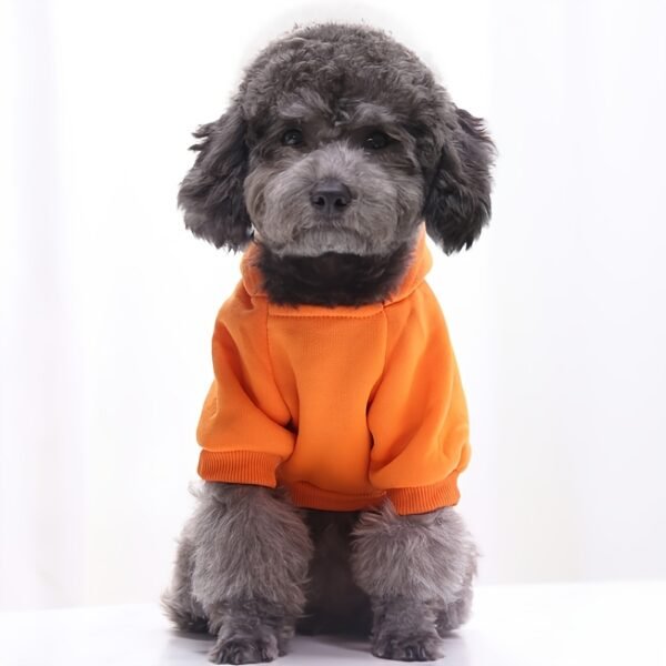 Winter Essentials: Cozy Knit Pullover Sweater for Small Dogs, Stylish & Easy-Care - Image 6