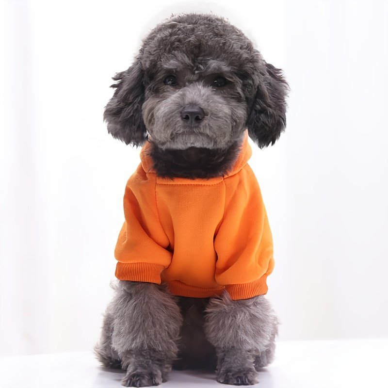 Winter Essentials: Cozy Knit Pullover Sweater for Small Dogs, Stylish & Easy-Care - Image 6