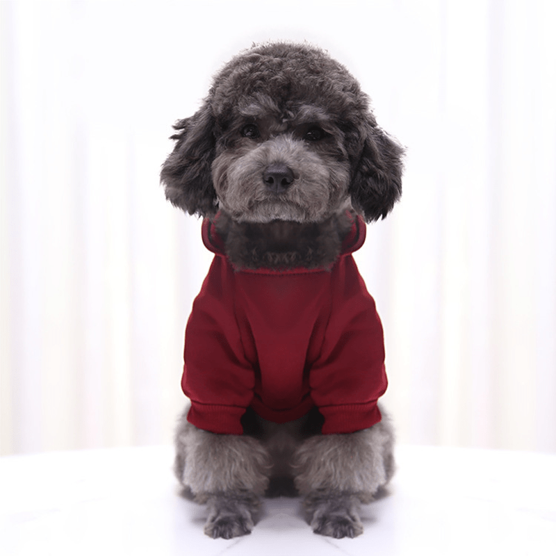 Winter Essentials: Cozy Knit Pullover Sweater for Small Dogs, Stylish & Easy-Care - Image 25