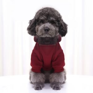 Winter Essentials: Cozy Knit Pullover Sweater for Small Dogs, Stylish & Easy-Care