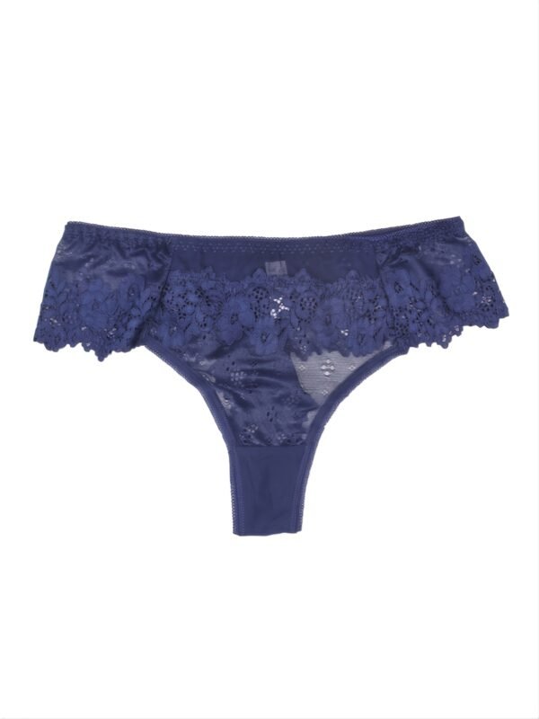 Sexy Brazilian Style Tanga Underwear Women Lace With Mesh Bikini Hipster Panty Breathable Transparent Low Waist Lingerie 5PCS/LOT - Image 6