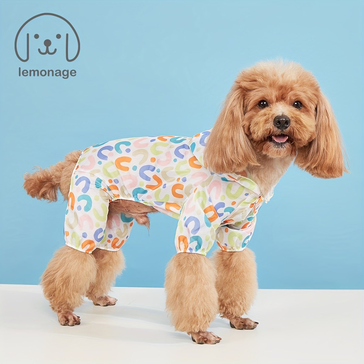 Waterproof Dog Raincoat for Small Dogs: Cute & Functional Outdoor Apparel - Image 4