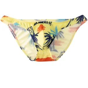 Men Bikini Briefs Sexy Underwear Gay Panties Comfortable Penis Pouch Slip Hombre Cuecas Male Underpants Nylon Mesh Quick Dry