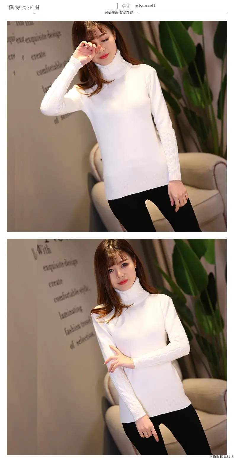 Sweater Female 2025 Autumn Winter Cashmere Knitted Women Sweater And Pullover Female Tricot Jersey Jumper Pull Femme - Image 23
